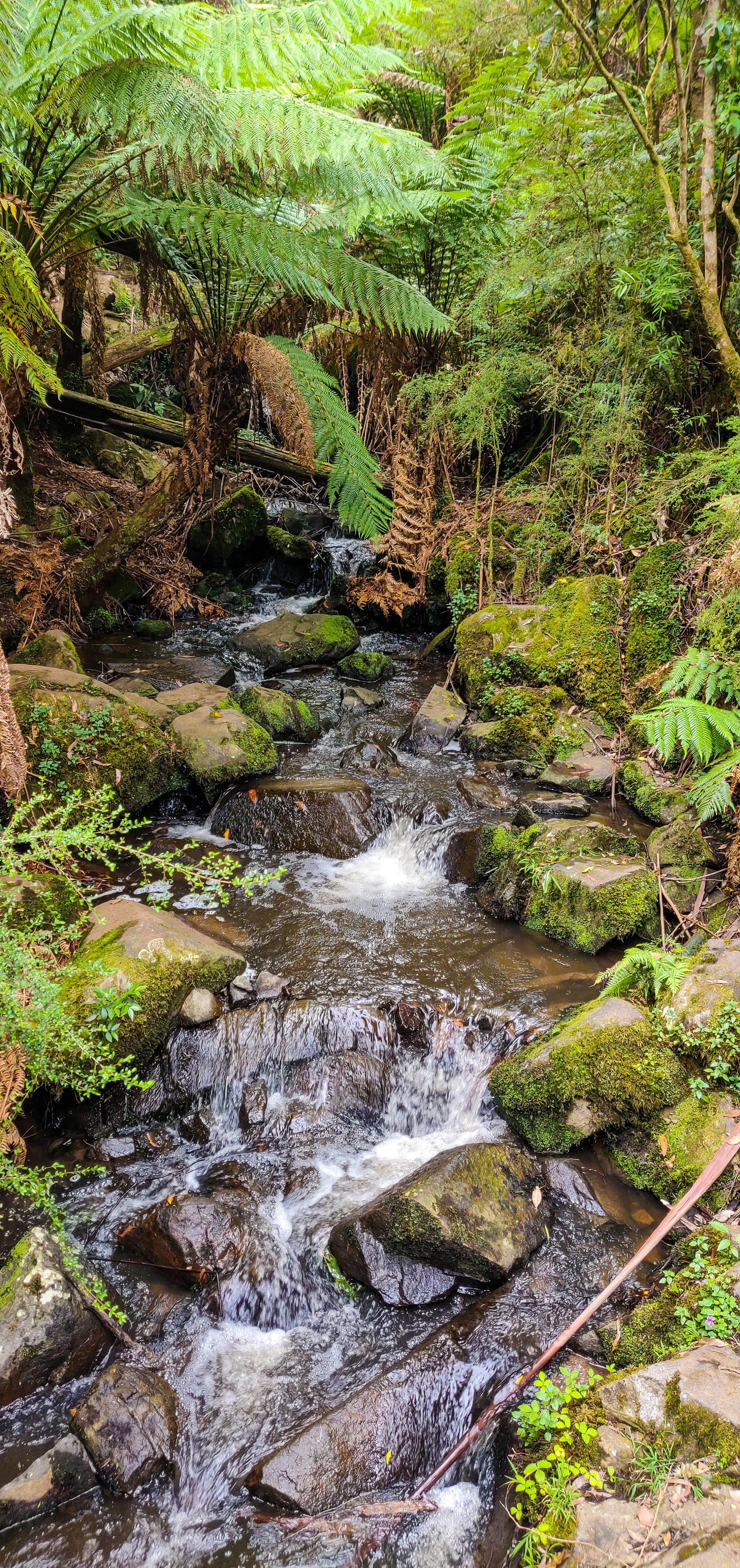 Sherbrooke Falls